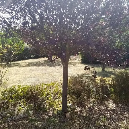 Le Lizard, Un Pour Vos Passions Nature Сasa de vacaciones Château-du-Loir