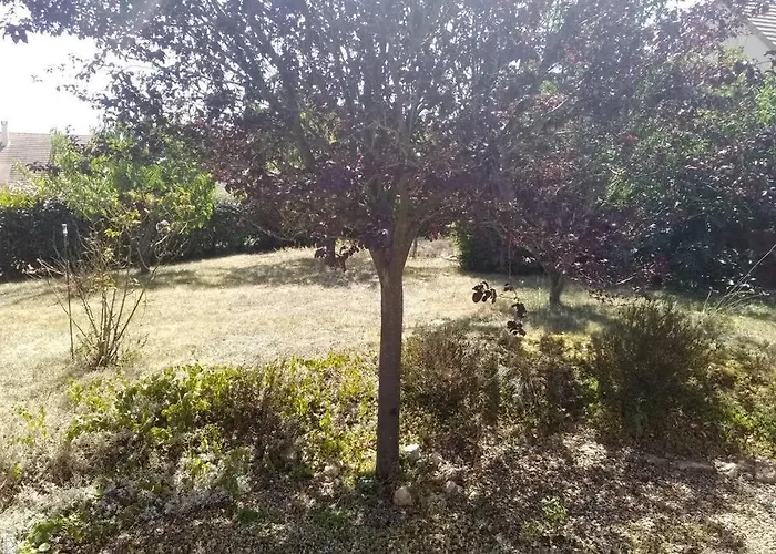 Le Lizard, Un Pour Vos Passions Nature Σπίτι διακοπών Château-du-Loir